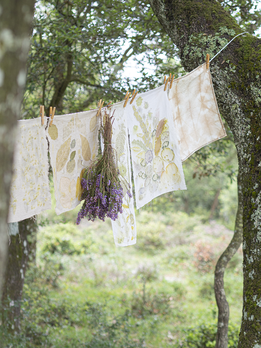 DIY Estampación botánica en tela13